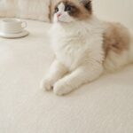 Waterproof Sofa Covers Solid Color Sofa Throw