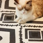 Jacquard sofa throw Moana Sofa Throw