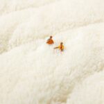 Plush sofa cushion Wavy Long Plush Sofa Cushion